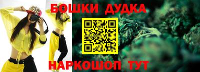 хмурый Дубна