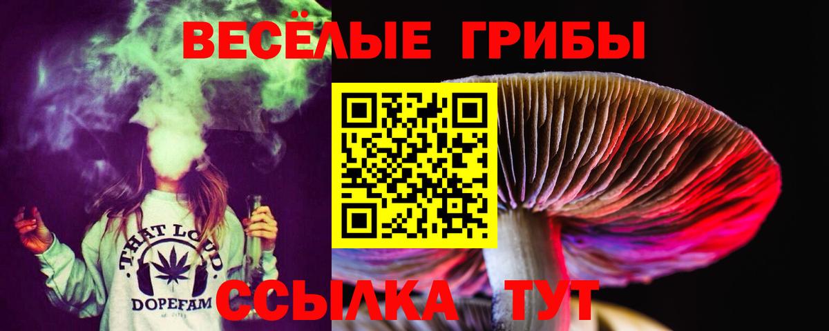  Cocaine Находка