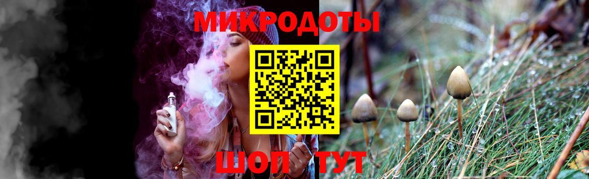 Галлюциногенные грибы Psilocybine cubensis  Вход с VPN  Находка 